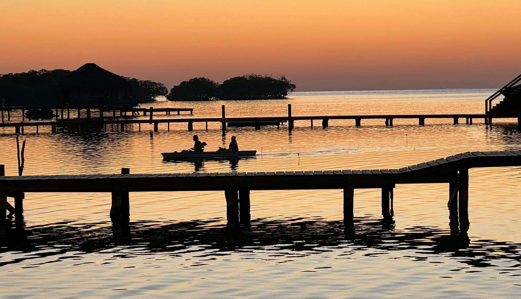 Evening kayaking in Milton Bight