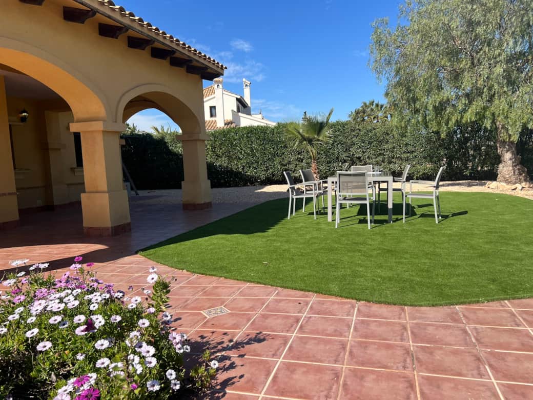 Backyard