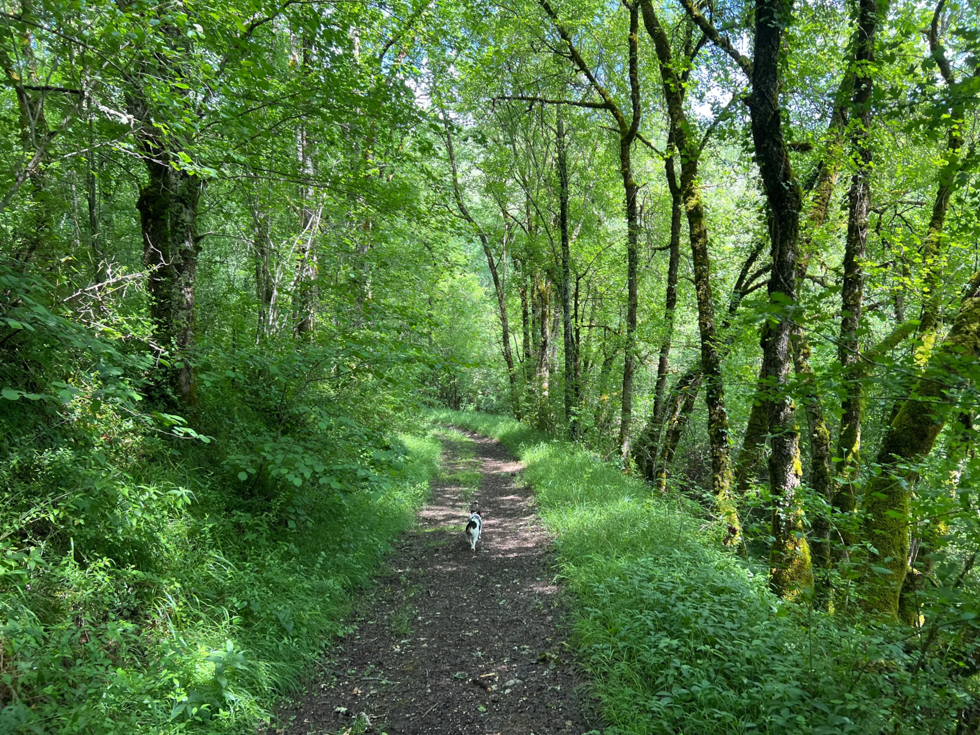 Walking holidays for couples - South West France