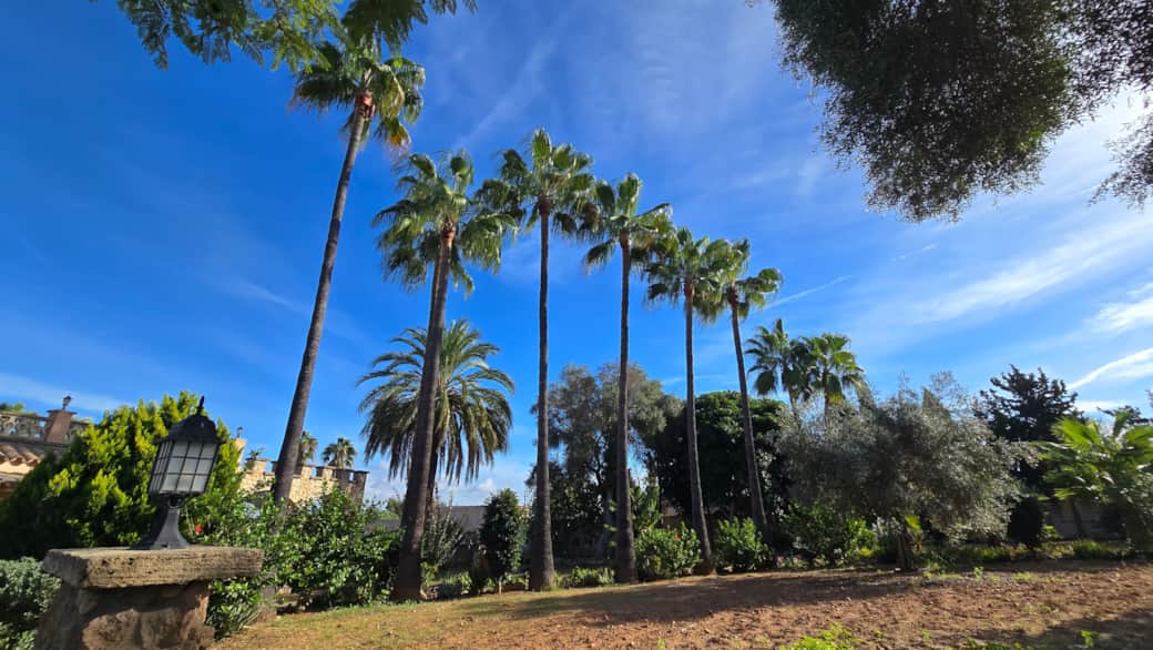 CASTELL BOHIO 2025 10 25 (9) CASTELL BOHIO 2025 10 25 (9)