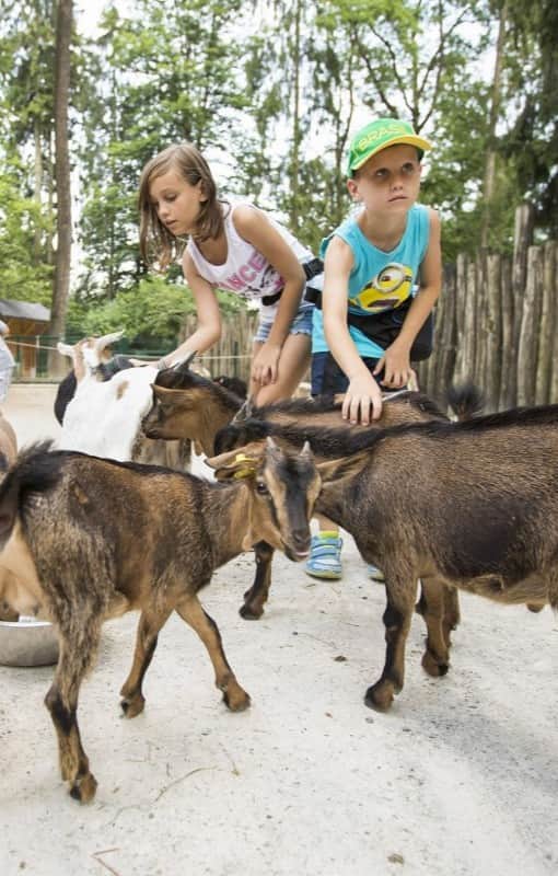 Ljubljana Zoo