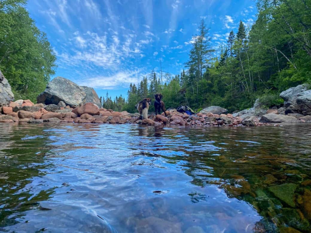 East Branch - a local swimming hole