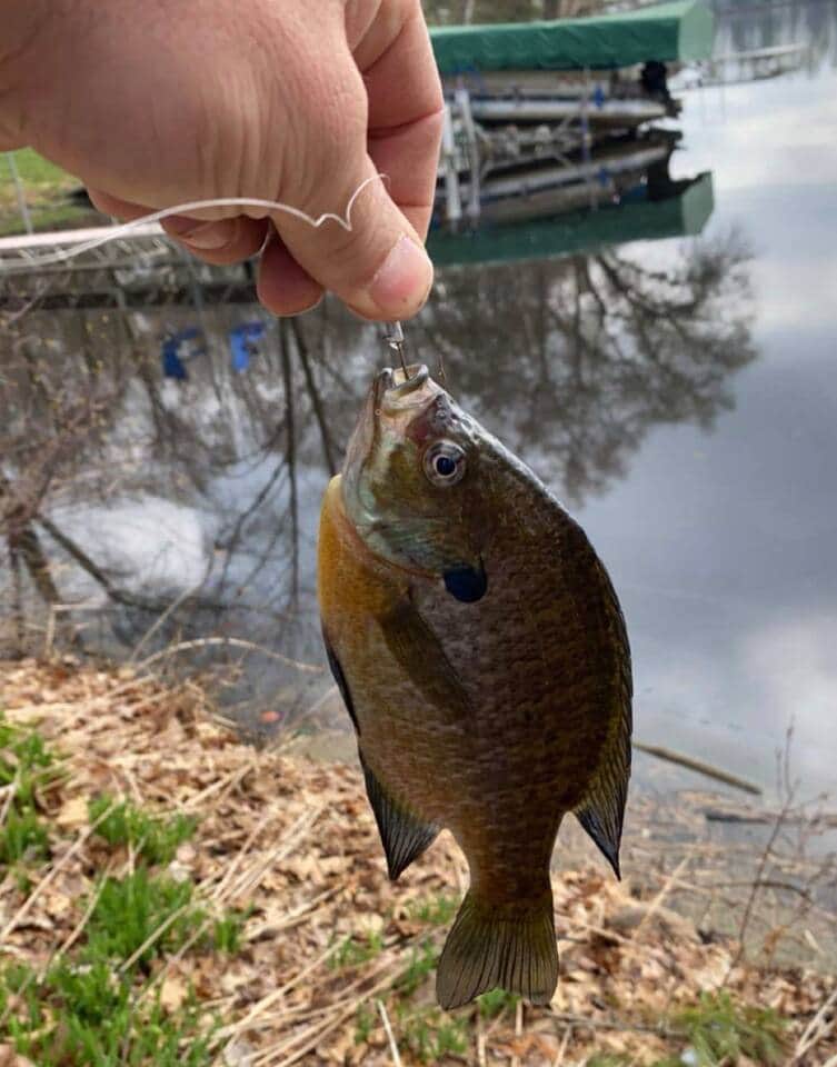 Fishing off the dock