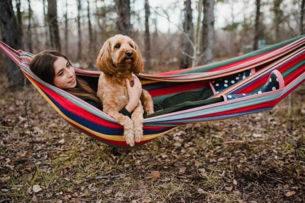 pet friendly too pet friendly too