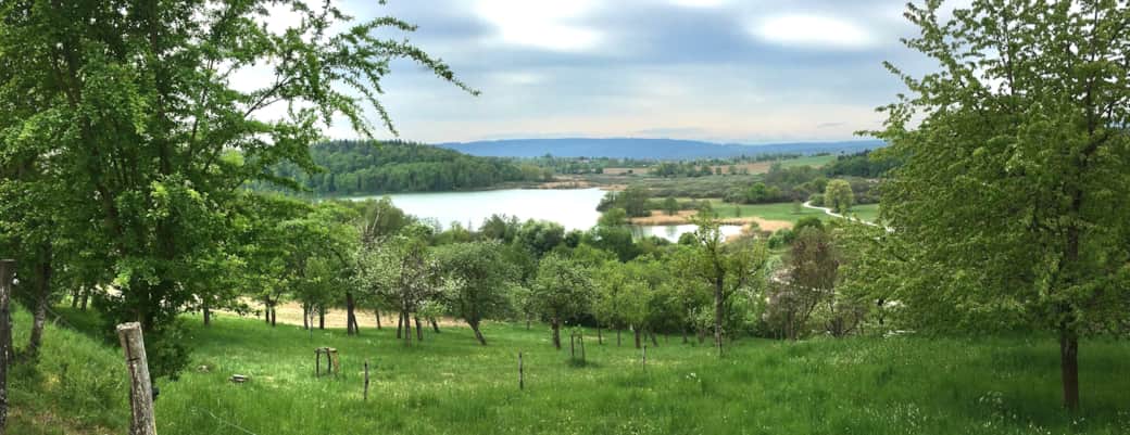 Blick auf den Mindelsee