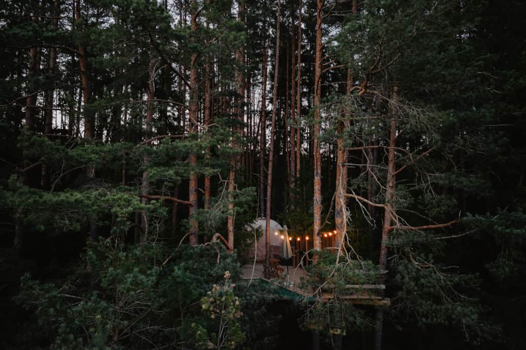Nature Calls - palapinė medyje vakare