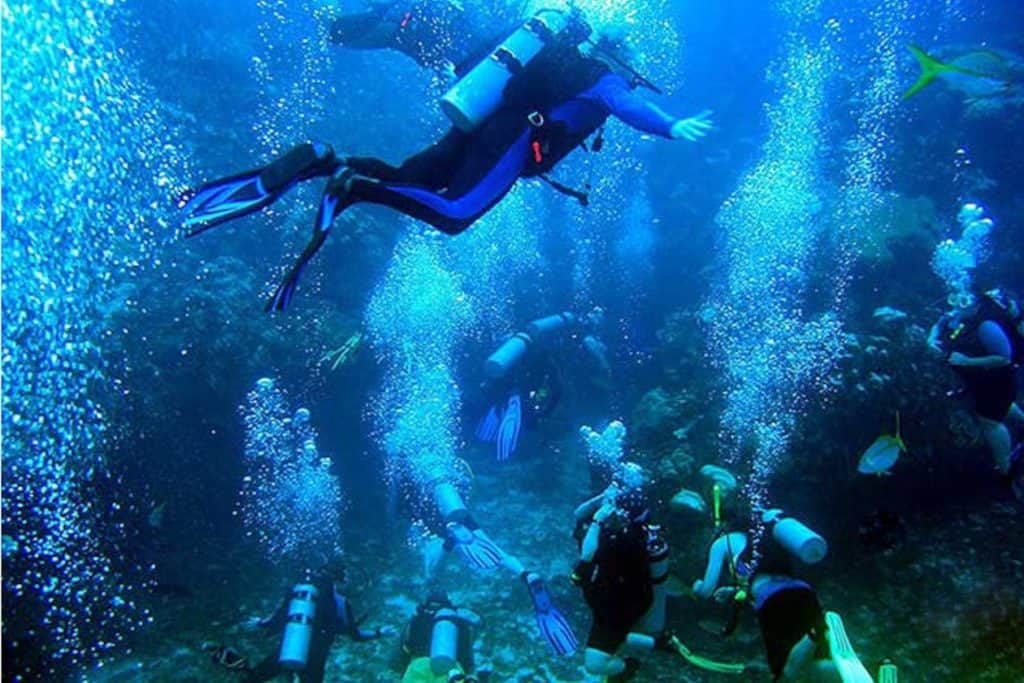 diving tour 