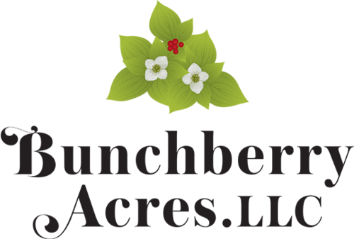 bunchberryacres.com