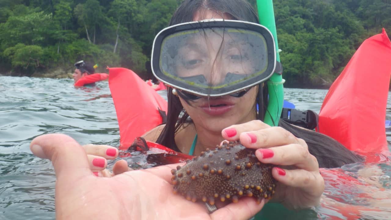 Catamaran Manuel Antonio