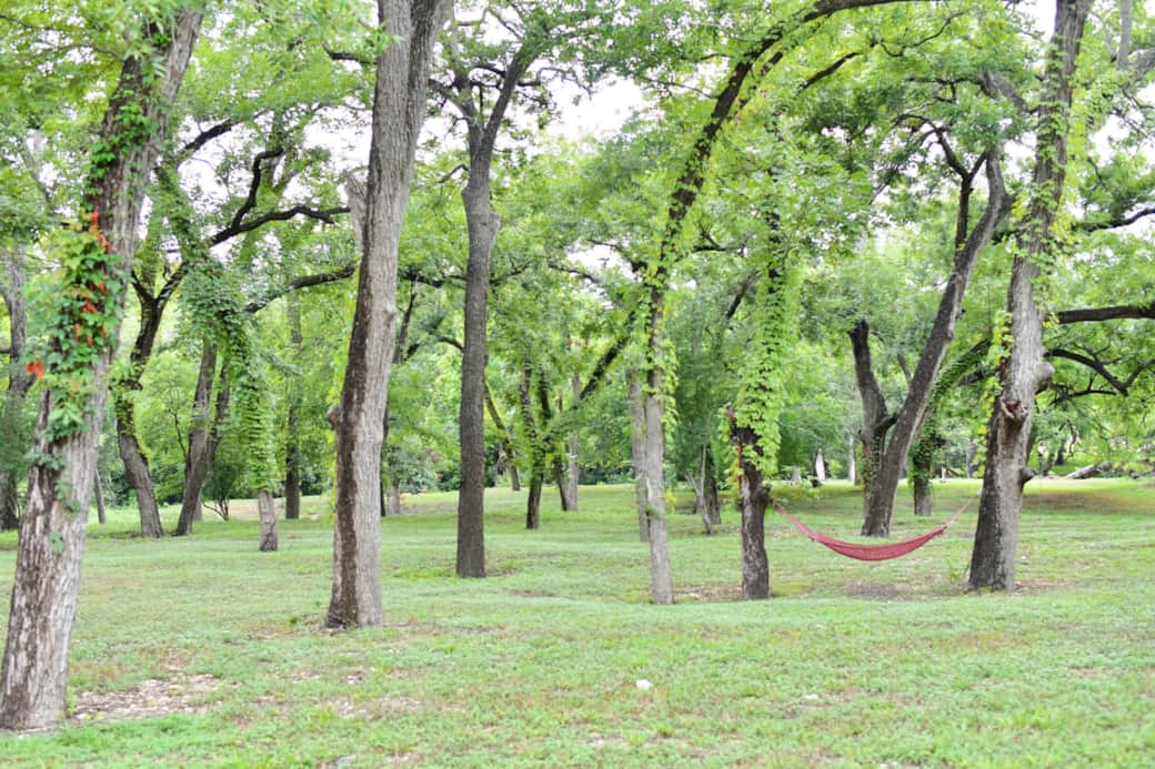 The pecan studded creek bottom