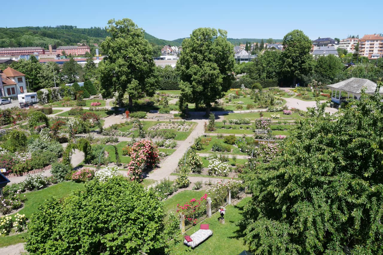 Vue sur la roseraie