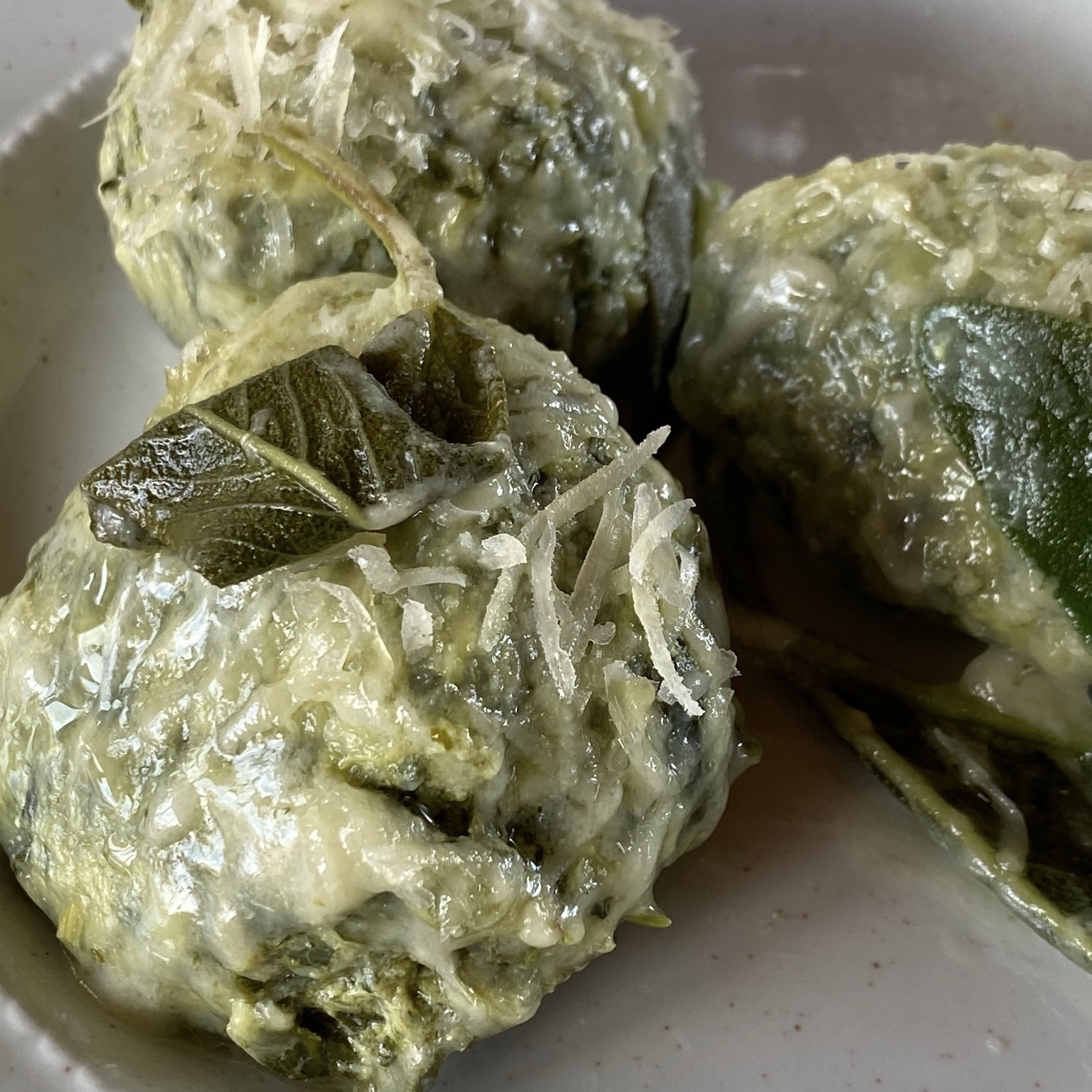 Gnudi