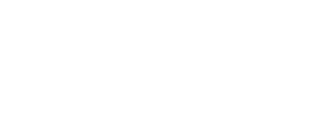 Vive Pucón Lodge