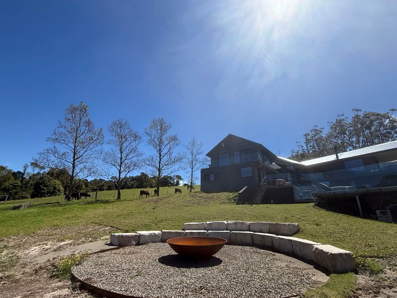 Firepit Landscape.jpeg