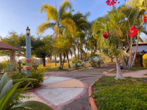 Garden pathway with palms at Cerrito Encantado