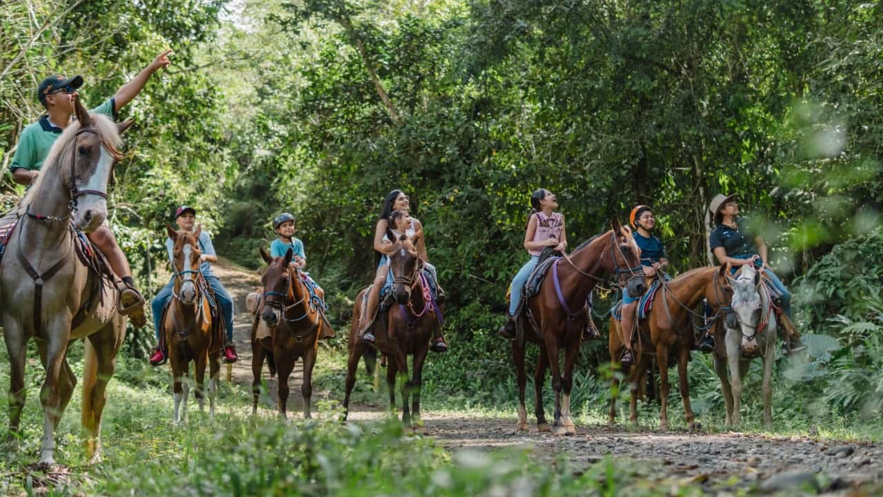 HorseBack Riding Manuel Antonio