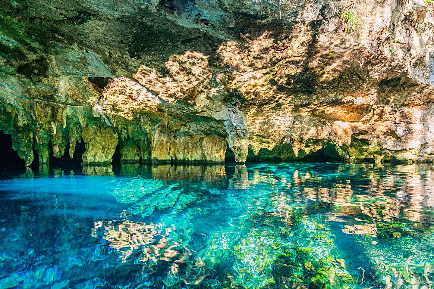 ¡Sumérgete en las maravillas bajo la superficie! Explora los extraordinarios cenotes de Tulum y nada en aguas cristalinas rodeadas de increíble belleza natural. Tu inolvidable aventura en cenotes comienza a solo unos minutos.