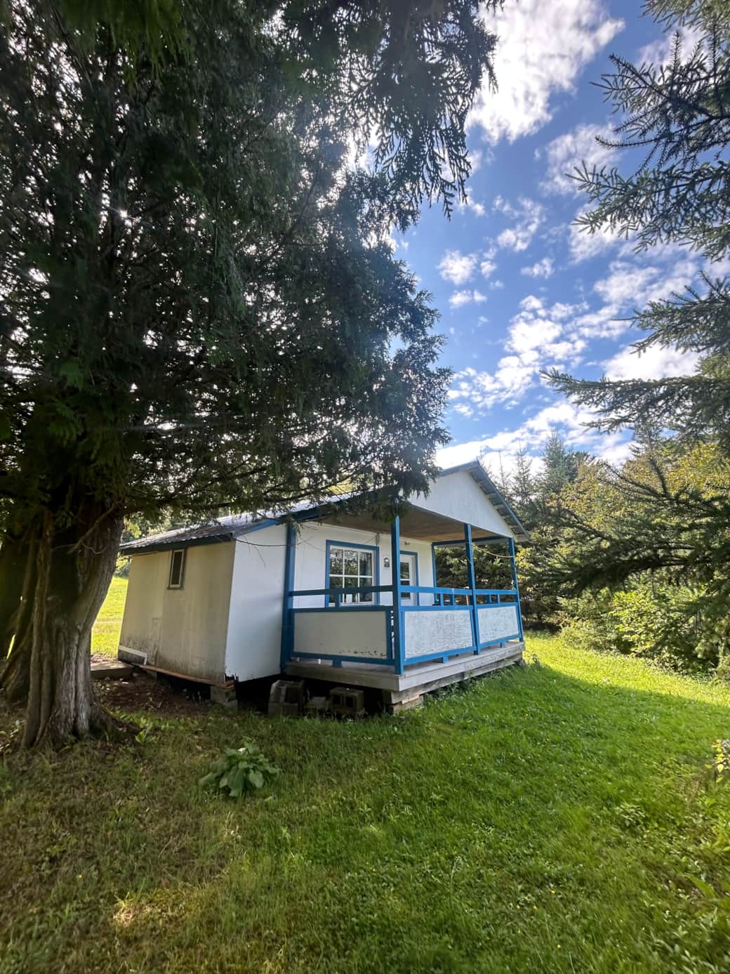 Image picker 8FB0E4DD ADAC 44F9 85E4 D6B0E2551DB1 1681 000000EFD0DBF22C