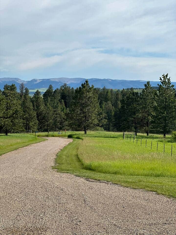 View of the Little Belts mountain on our road