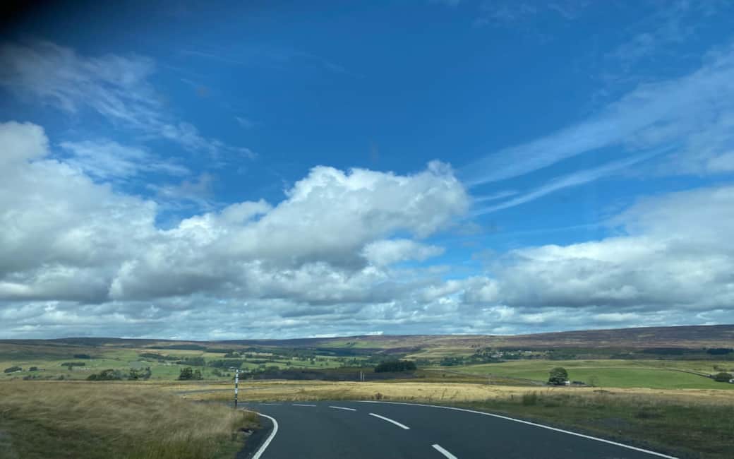 Hills View