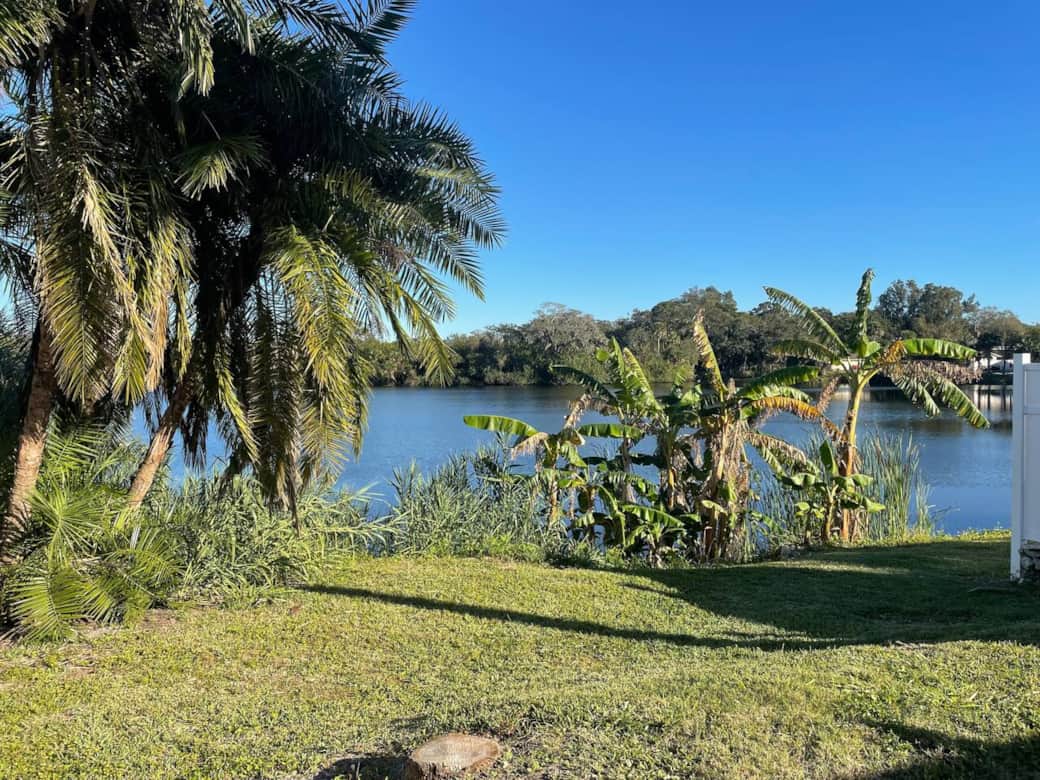 Peaceful private lake view with lush tropical plants creating a calm, natural setting.