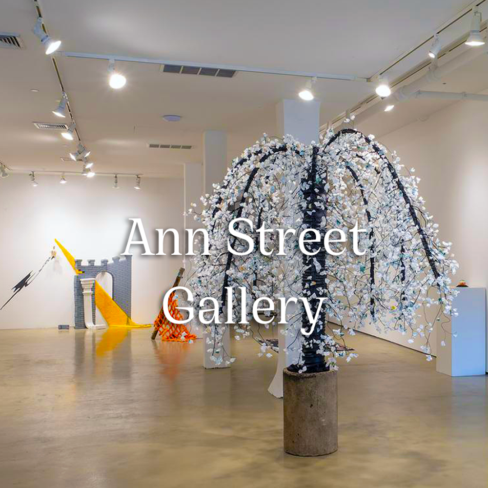 ann-street-gallery