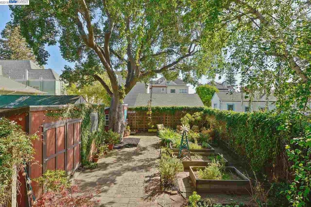 Under the magnificent oak Under the magnificent oak