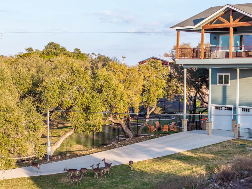 Enjoy Nature w/ Regular Deer Visiting