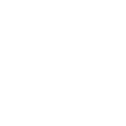 FFH RENTALS