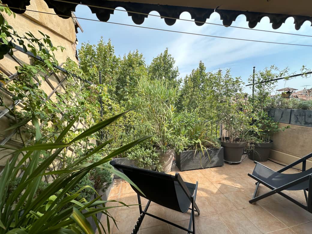 terrasse, plantes, vue