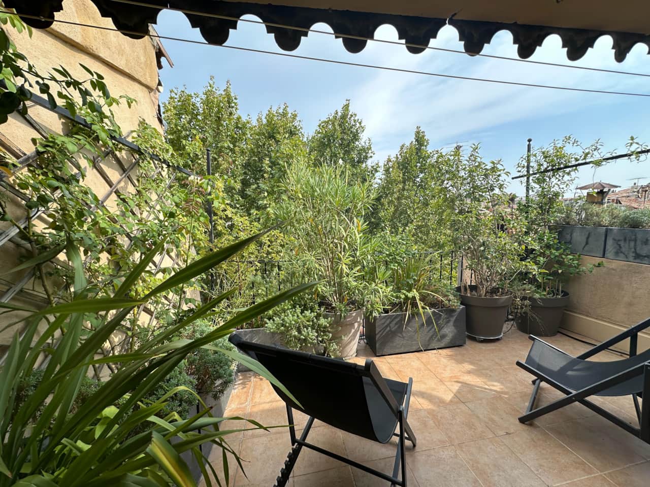 terrasse, vue, plantes, chaises longues