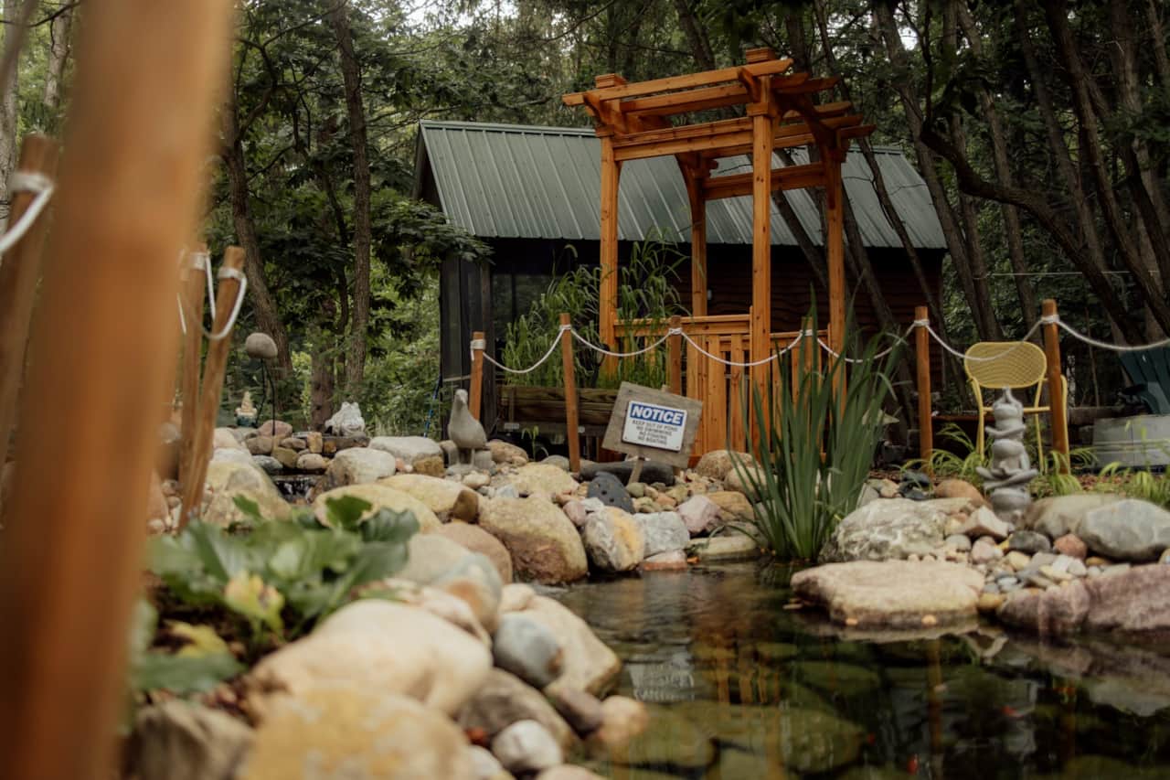 The babbling brook sounds of the pond
