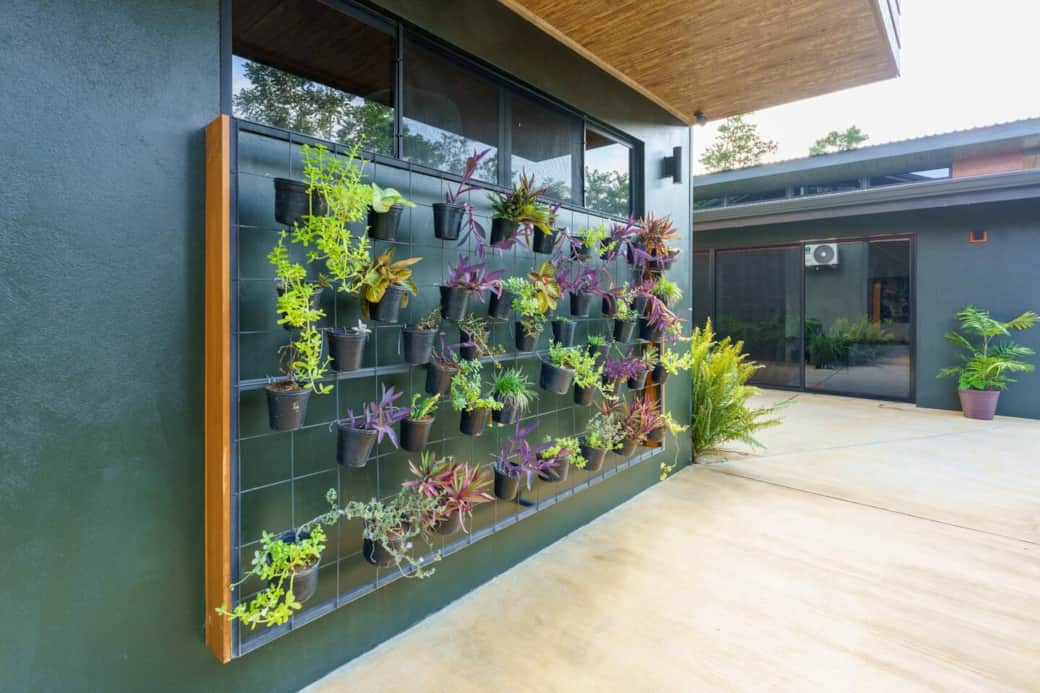 Living Wall Garden