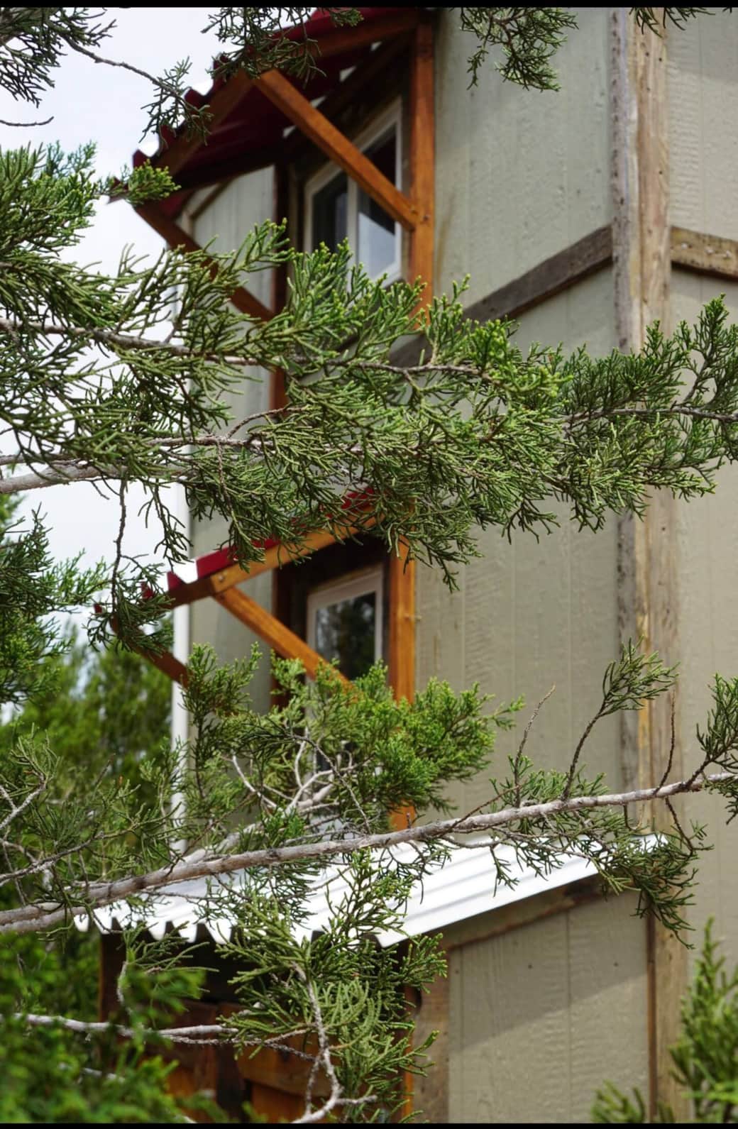 Pine Tiny House