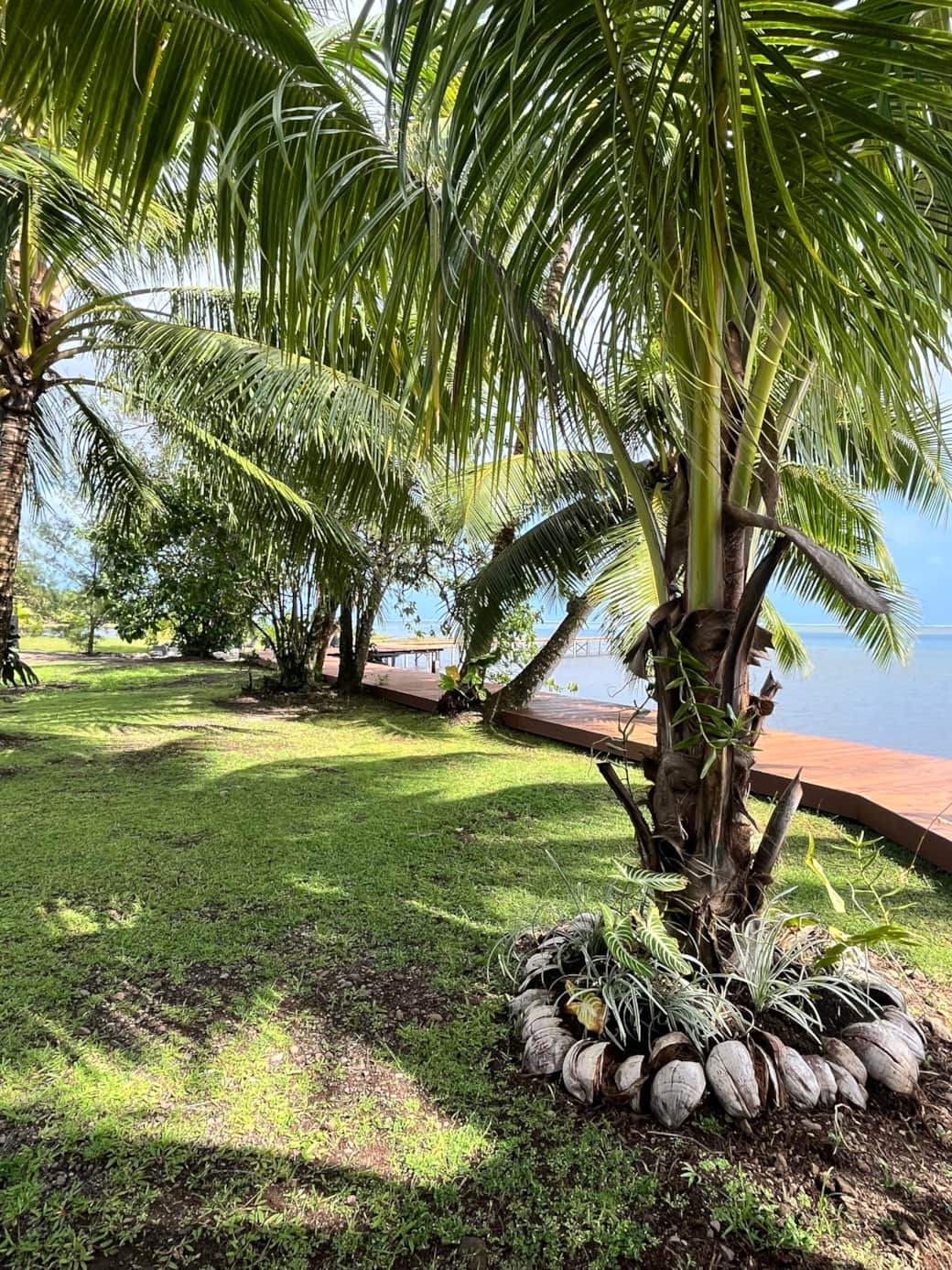 Teahupoo Wave Lodge_0220