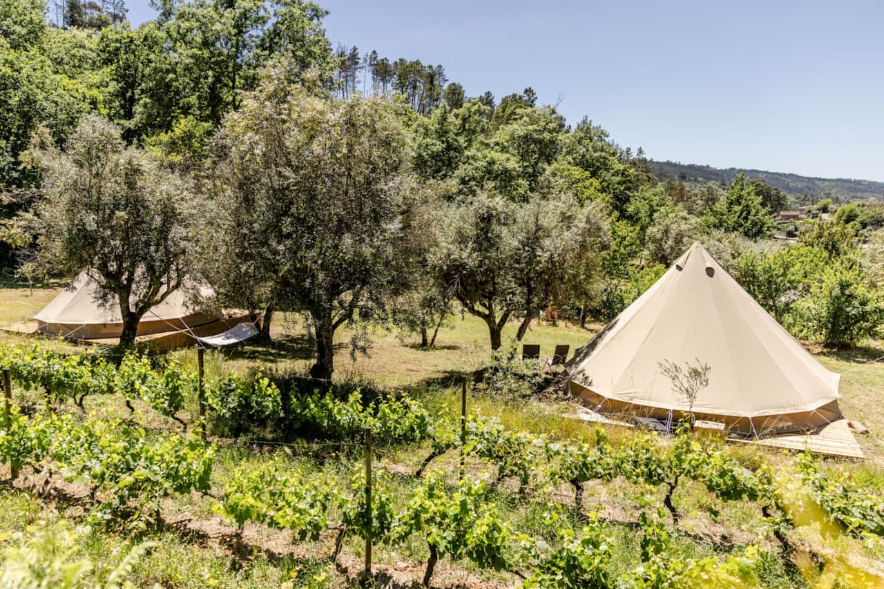 Belltent uitzicht