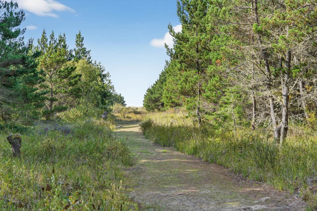 Beginning of Trail to the beach
