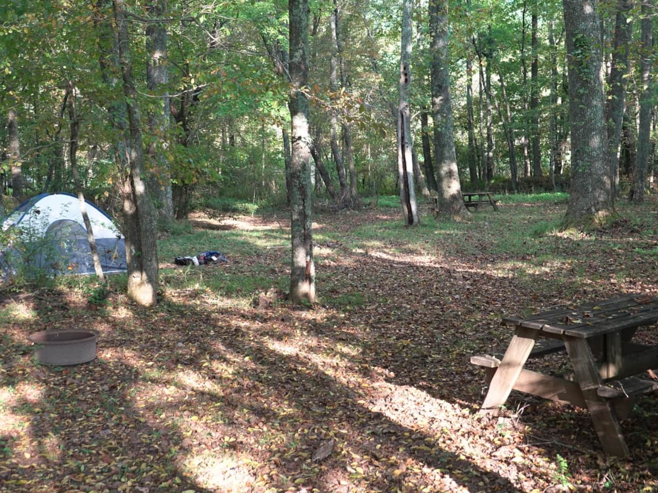 Kennedy creek - tent and picnic table