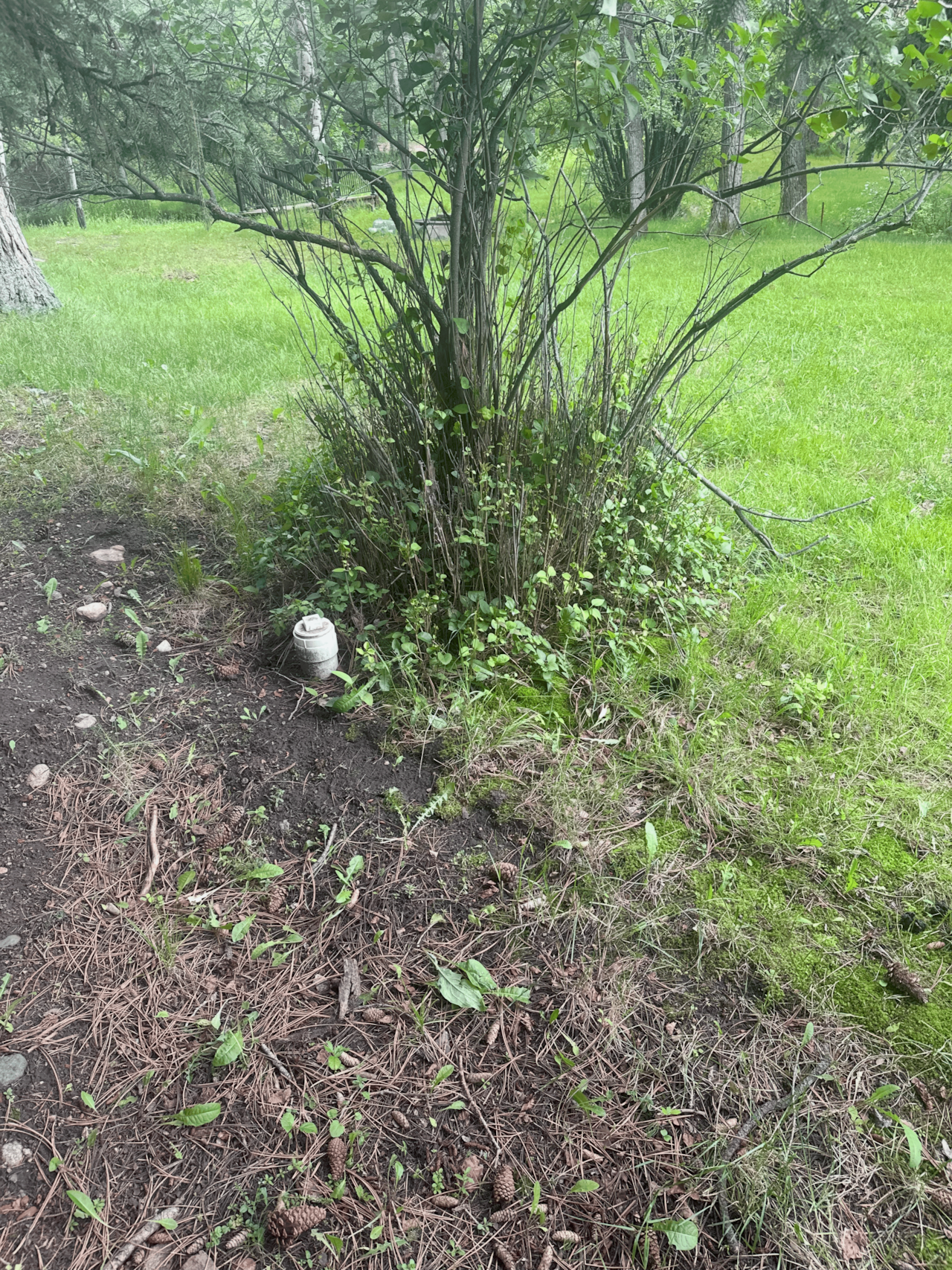 Restaurant Site - Sewage