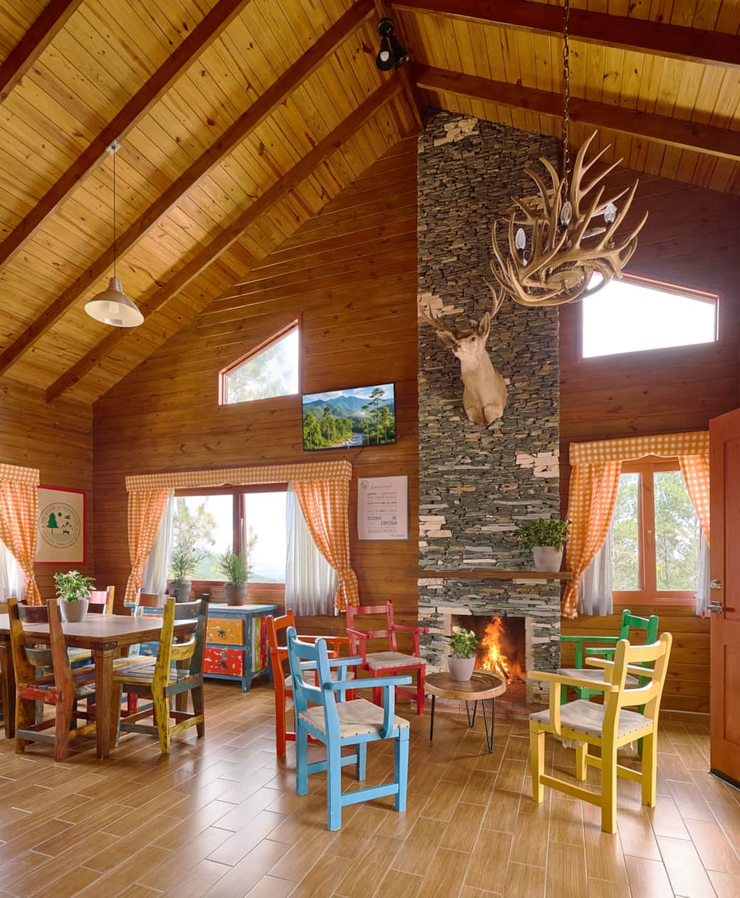 The woods Jarabacoa Erwin Cabana 3 082 The woods Jarabacoa Erwin Cabana 3 082