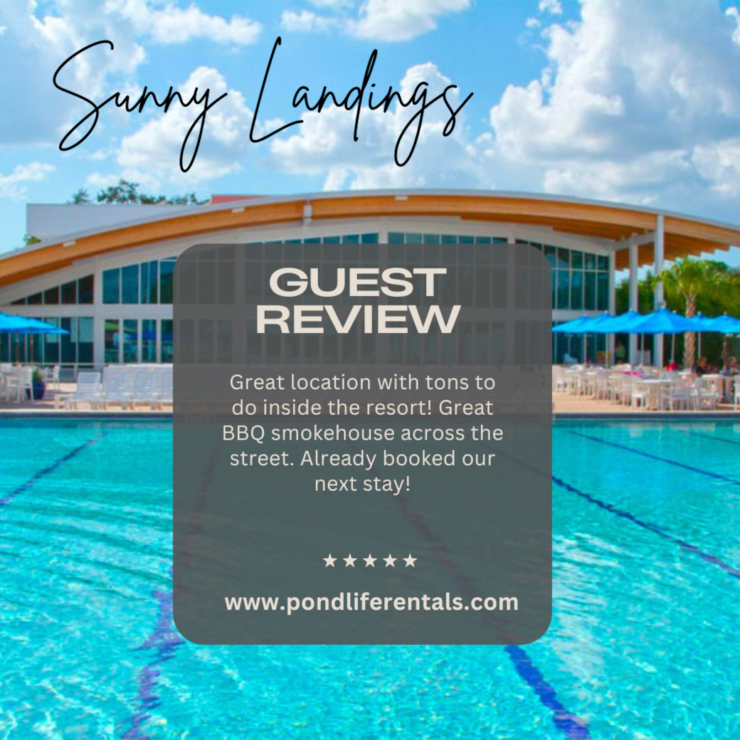Guest Review