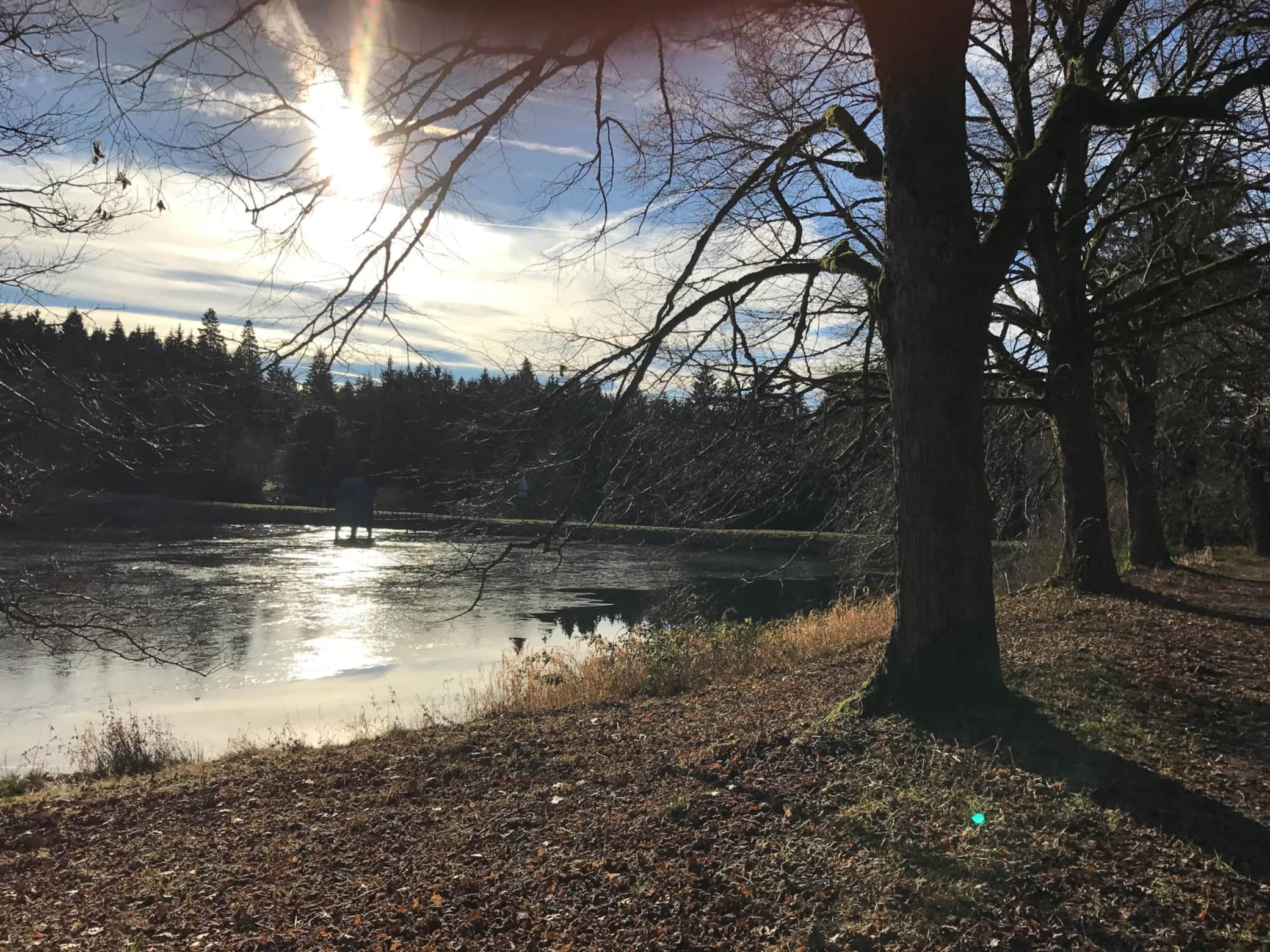 Frühjahrsimpression Kurpark