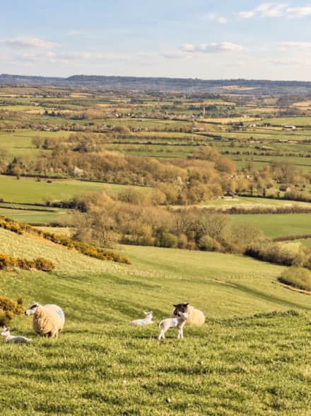 The Cotswolds and places to explore