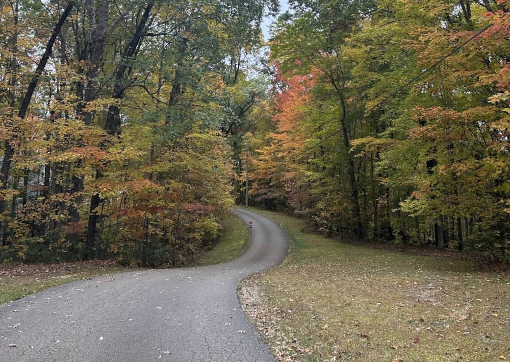 Scenic Drive Leading to House