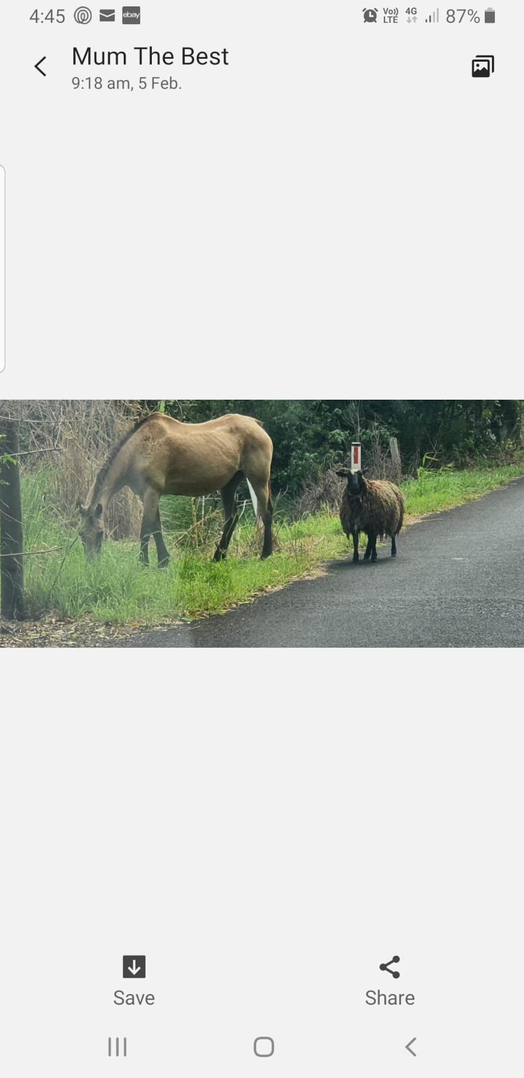 Locals out for a stroll...
