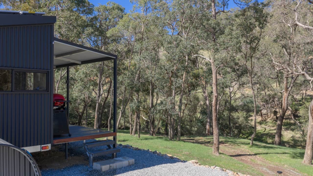 Jarrah Trees Border the River