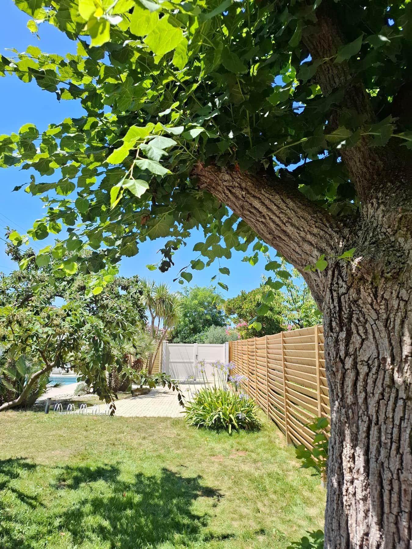E jardin.jpg
