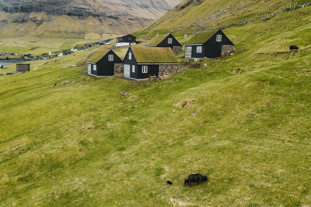 All houses