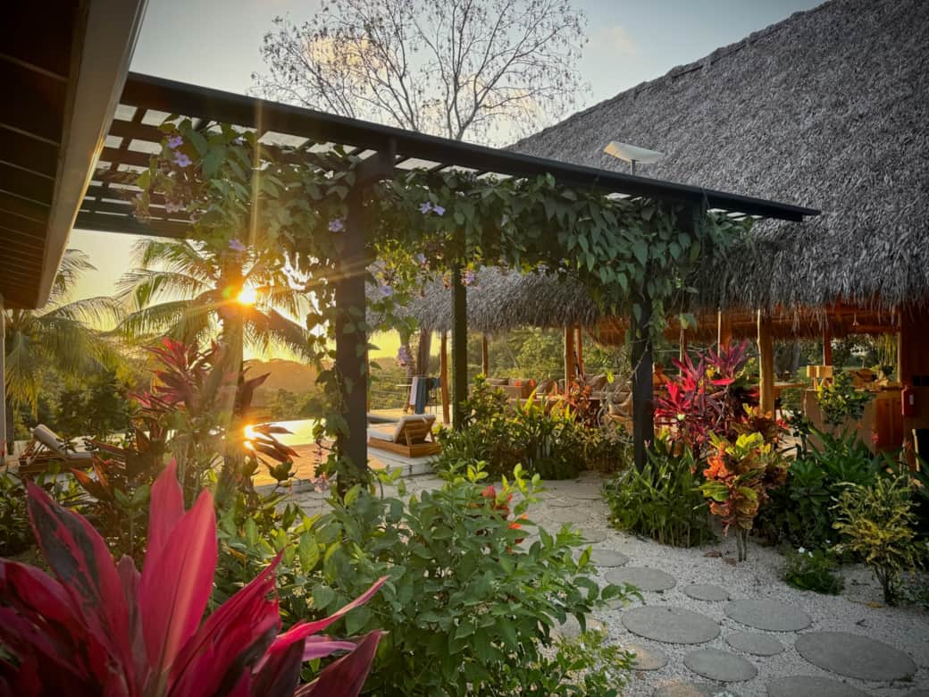 A38BA1FE 1492 41FB BACC 01702E4128D5 A38BA1FE 1492 41FB BACC 01702E4128D5