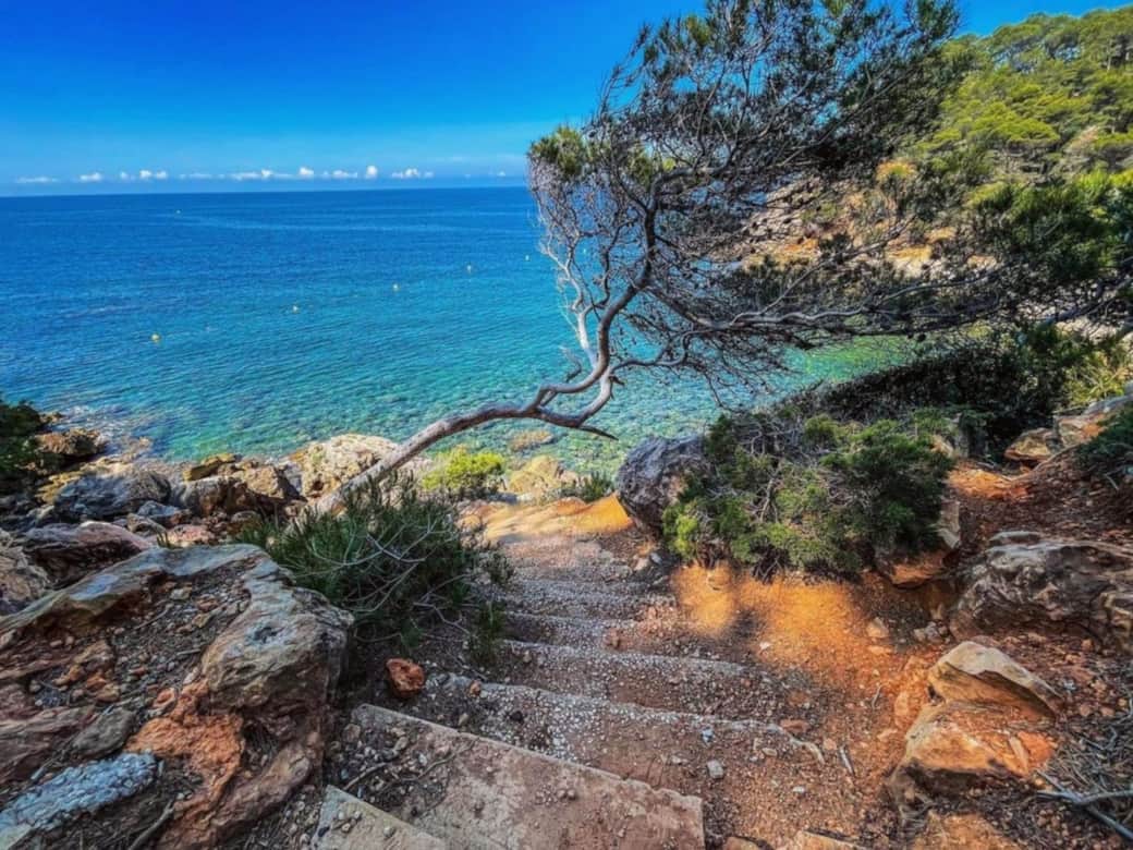 sea, Bandol, nearby sea, Bandol, nearby